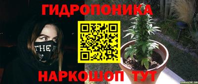 Альфа ПВП Ковров